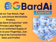 PLR Google Bard AI Expertise Review